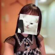 ヒメ日記 2026/04/04 15:03 投稿 るな 恵比寿ニューヨーク