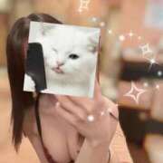 ヒメ日記 2026/04/06 01:36 投稿 るな 恵比寿ニューヨーク