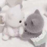 ヒメ日記 2026/02/06 10:33 投稿 はるか【かわいいの新星アイドル】 LIPS(リップス)