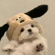 ヒメ日記 2026/02/09 07:24 投稿 はるか【かわいいの新星アイドル】 LIPS(リップス)