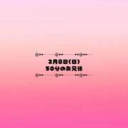 ヒメ日記 2026/02/12 02:18 投稿 はるか【かわいいの新星アイドル】 LIPS(リップス)