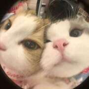 ヒメ日記 2026/02/16 00:38 投稿 はるか【かわいいの新星アイドル】 LIPS(リップス)