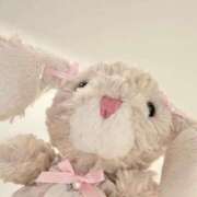 ヒメ日記 2026/02/19 00:40 投稿 はるか【かわいいの新星アイドル】 LIPS(リップス)