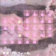 ヒメ日記 2026/04/13 02:29 投稿 えちか/単体AV プロフィール奈良店