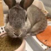 ヒメ日記 2026/04/19 08:15 投稿 てん 熟女の風俗最終章 錦糸町店