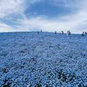 ヒメ日記 2026/04/15 19:15 投稿 復活の最恐S・涼風　桜 Eternity～若妻の悪戯～（エタニティー）