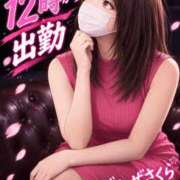 ヒメ日記 2026/10/02 15:57 投稿 復活の最恐S・涼風　桜 Eternity～若妻の悪戯～（エタニティー）