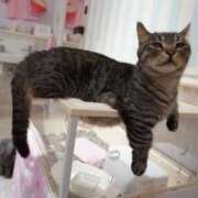 ヒメ日記 2026/02/16 18:49 投稿 ほの BARUBORA熊本店