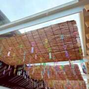 ヒメ日記 2026/02/25 14:01 投稿 佐藤　しょうこ #性欲解放区