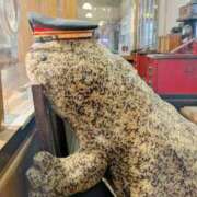 ヒメ日記 2026/02/09 23:39 投稿 すみれ 渋谷くいーんず