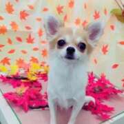 ヒメ日記 2026/03/06 20:02 投稿 まこと One More奥様　横浜関内店