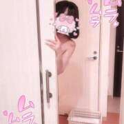 ヒメ日記 2026/02/24 15:46 投稿 にこ Las Vegas(新潟)