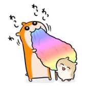 ヒメ日記 2026/04/06 17:46 投稿 にこ Las Vegas(新潟)