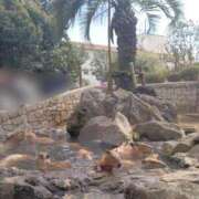 ヒメ日記 2026/03/11 21:38 投稿 いずみ 熊谷人妻城