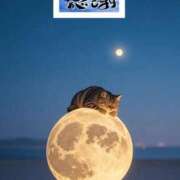 ヒメ日記 2026/03/14 16:49 投稿 いずみ 熊谷人妻城