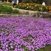 ヒメ日記 2026/03/22 15:14 投稿 あいり AVANCE福岡