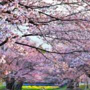 あいり 出勤🙌 AVANCE福岡