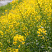 ヒメ日記 2026/02/24 12:52 投稿 野中あゆか 人妻コレクション