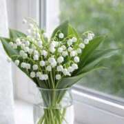 ヒメ日記 2026/04/04 09:34 投稿 野中あゆか 人妻コレクション