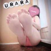 ヒメ日記 2026/02/20 16:18 投稿 夏目　うらら 未熟な人妻