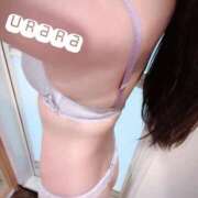 ヒメ日記 2026/02/24 23:38 投稿 夏目　うらら 未熟な人妻