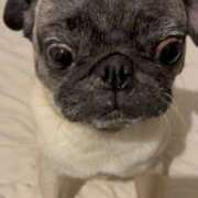 ヒメ日記 2026/03/22 22:40 投稿 夏目　うらら 未熟な人妻