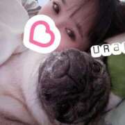 ヒメ日記 2026/04/07 14:08 投稿 夏目　うらら 未熟な人妻