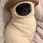 ヒメ日記 2026/04/19 16:25 投稿 夏目　うらら 未熟な人妻