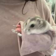 ヒメ日記 2026/03/08 09:10 投稿 れみ One More奥様 大宮店