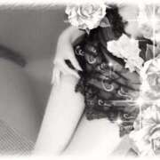 ヒメ日記 2026/02/26 08:29 投稿 奏多(かなた) 人妻城 横浜本店