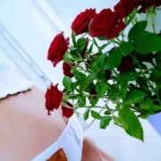 ヒメ日記 2026/02/28 16:22 投稿 奏多(かなた) 人妻城 横浜本店