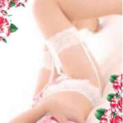 ヒメ日記 2026/03/08 23:21 投稿 奏多(かなた) 人妻城 横浜本店