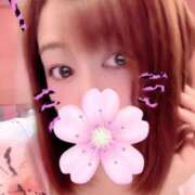 ゆり こんにちは トマトなび