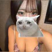 ヒメ日記 2026/02/20 12:19 投稿 はる サクラ（すすきの）