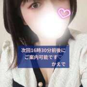 ヒメ日記 2026/04/03 14:49 投稿 かえで 迷宮の人妻 古河・久喜発