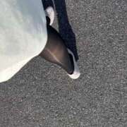 ヒメ日記 2026/02/15 00:05 投稿 七色 小百合 人妻セレブ宮殿