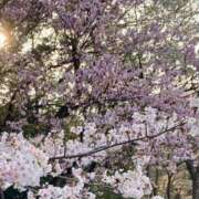 七色 小百合 桜 人妻セレブ宮殿