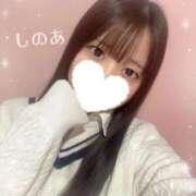 しのあ 🌷お知らせ🌷 ラブ・アンド・ラブ