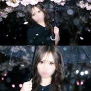 ヒメ日記 2026/03/31 05:15 投稿 蜜月りのん ラブアイドル