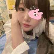 ヒメ日記 2026/04/11 12:55 投稿 猫耳まる★未経験18歳超美少女 PLAY