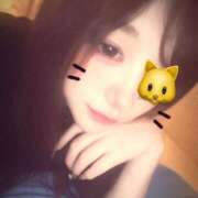 ヒメ日記 2026/07/12 15:22 投稿 猫耳まる★未経験18歳超美少女 PLAY