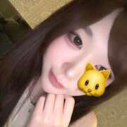 ヒメ日記 2026/08/20 17:33 投稿 猫耳まる★未経験18歳超美少女 PLAY