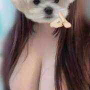 める しゅっきん！ 鹿児島ちゃんこ霧島店