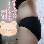 ヒメ日記 2026/02/07 12:10 投稿 ふうか 茨城日立ちゃんこ