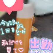 ヒメ日記 2026/02/08 12:26 投稿 ふうか 茨城日立ちゃんこ