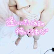 ヒメ日記 2026/03/01 12:19 投稿 ふうか 茨城日立ちゃんこ