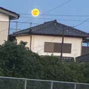 ヒメ日記 2026/06/30 12:49 投稿 ふうか 茨城日立ちゃんこ