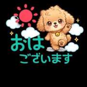 ヒメ日記 2026/09/24 12:39 投稿 ふうか 茨城日立ちゃんこ