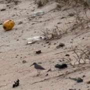 ヒメ日記 2026/03/06 16:03 投稿 凪野ゆず 札幌ソフィア