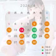 めい 🗓出勤予定𓂃 𓈒𓏸 アラカルト